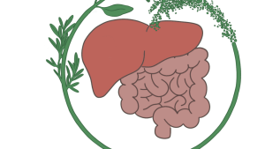 Logo nature4HEALTH